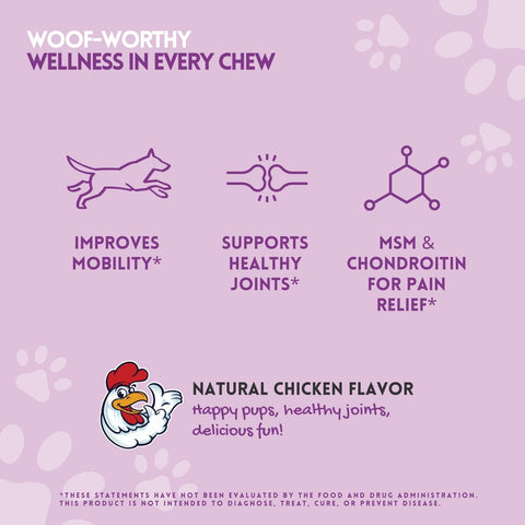 Joint Care Dog Chews