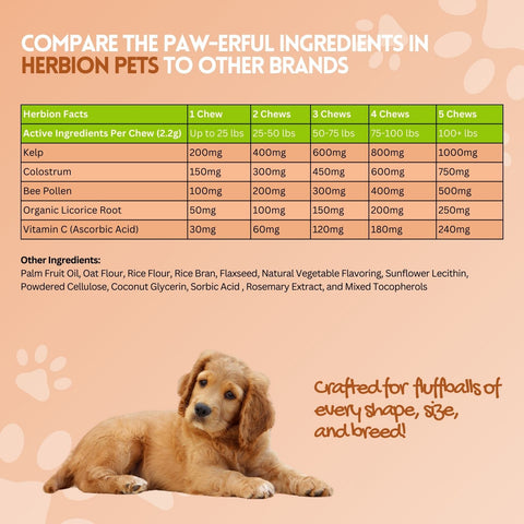 Allergy+Immune Dog Chews