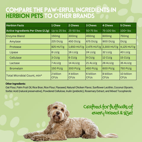 Digestive Support Dog Chews