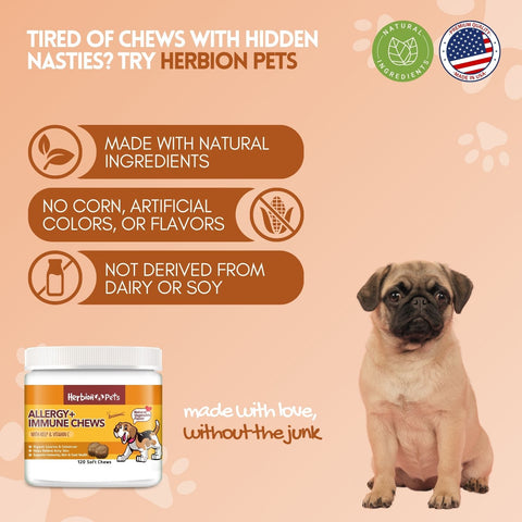 Allergy+Immune Dog Chews