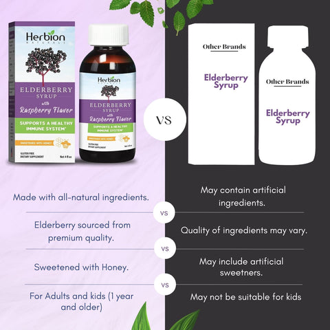 Elderberry Syrup