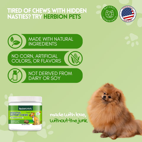 Digestive Support Dog Chews