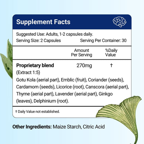 Memory Support Capsules