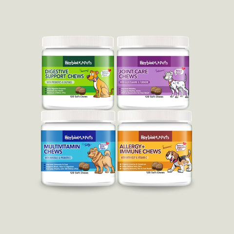 Pet Care