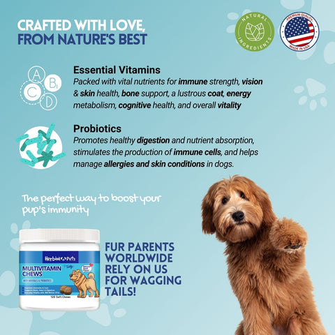 Multivitamin Dog Chews