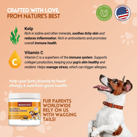 Allergy+Immune Dog Chews
