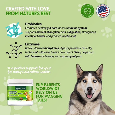 Digestive Support Dog Chews