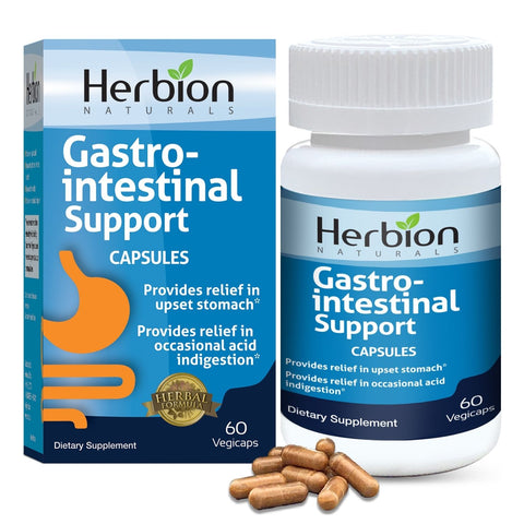 Gastrointestinal Support Capsules