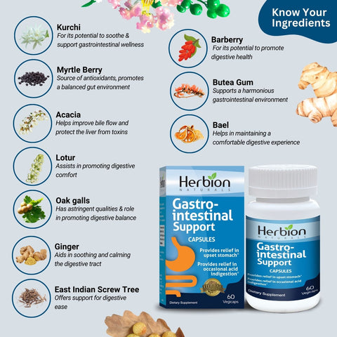 Gastrointestinal Support Capsules