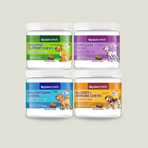 Pet Care