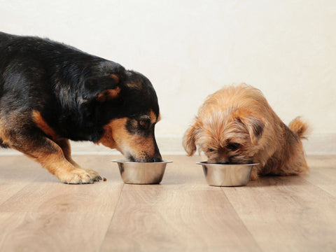 Naturally Palatable, Cleanly Made