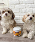 Dogs sitting with Herbion Allergy+Immune Chews in front of them