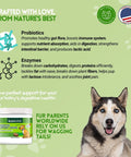 Herbion Digestive Support Dog Chews contains probiotics and digestive enzymes to support your dog's digestive health.