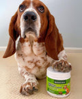A dog with his paw on Herbion Digestive Support Dog Chews box