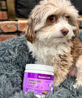 Herbion Joint Care Dog Chews in front of a dog 