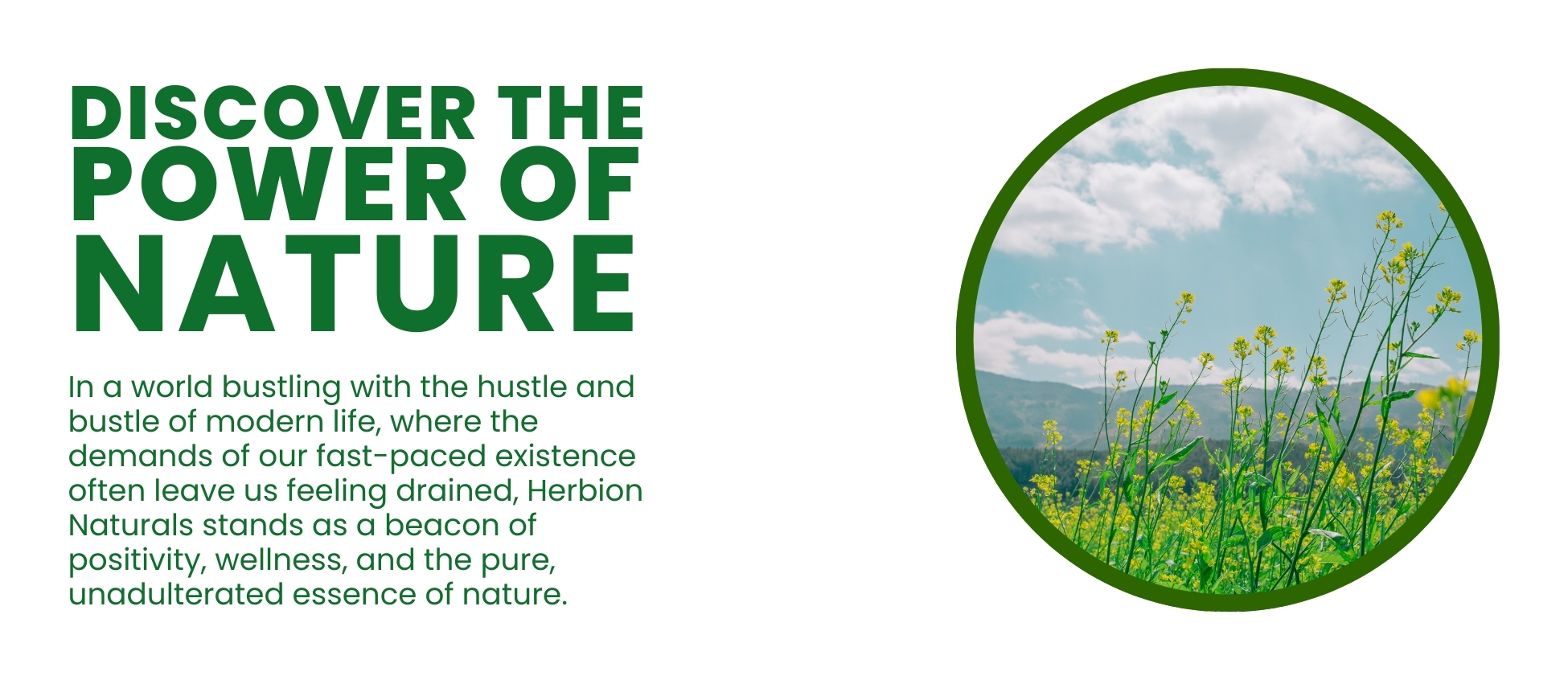 Discover the power of Nature: In a world bustling with the hustle and bustle of modern life, where the demands of our fast-paced existence often leave us feeling drained, Herbion Naturals stands as a beacon of positivity, wellness, and the pure, unadulterated essence of nature.